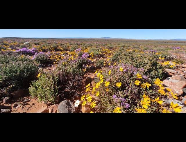 FARM FOR SALE IN CERES RURAL